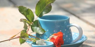 What You Should Know About Good Cookware What You Should Know About Good Cookware