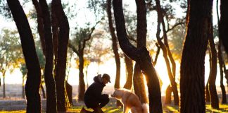 Shopping List for Safe and Comfortable Dog Walking Shopping List for Safe and Comfortable Dog Walking