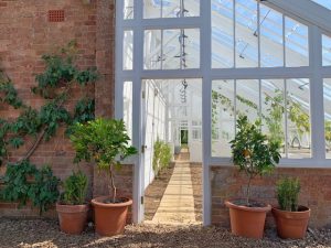 conservatory with plants